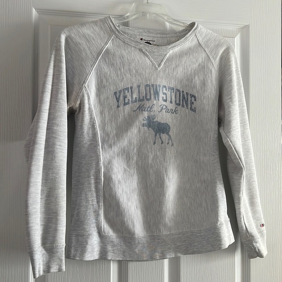 Champion Gray Yellowstone Sweatshirt - Picture 1 of 4